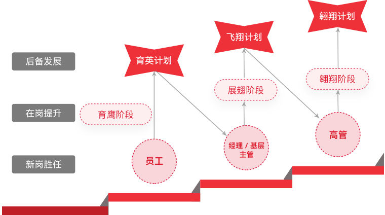 【爱体育】官网 "雄鹰计划"人才梯队培养